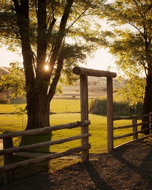 Enceinte de l’hébergement