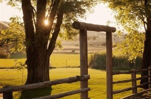 A wooden fence in a rural setting with a large tree and a field in the background.