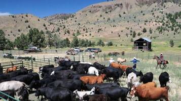 A rural landscape with a herd of cattle, a horse, and a few people in the distance.