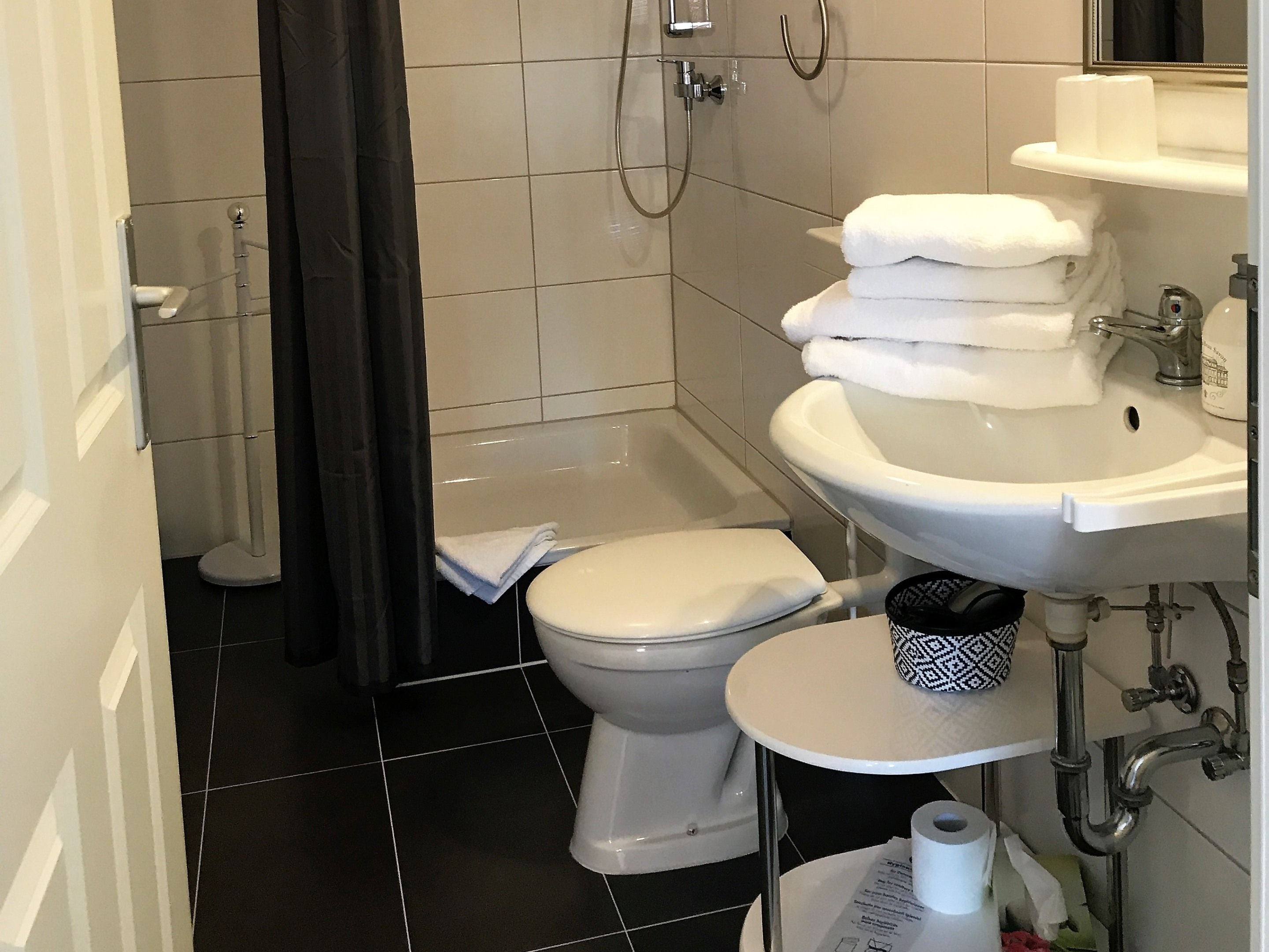 A bathroom with a toilet, a sink, and a shower.