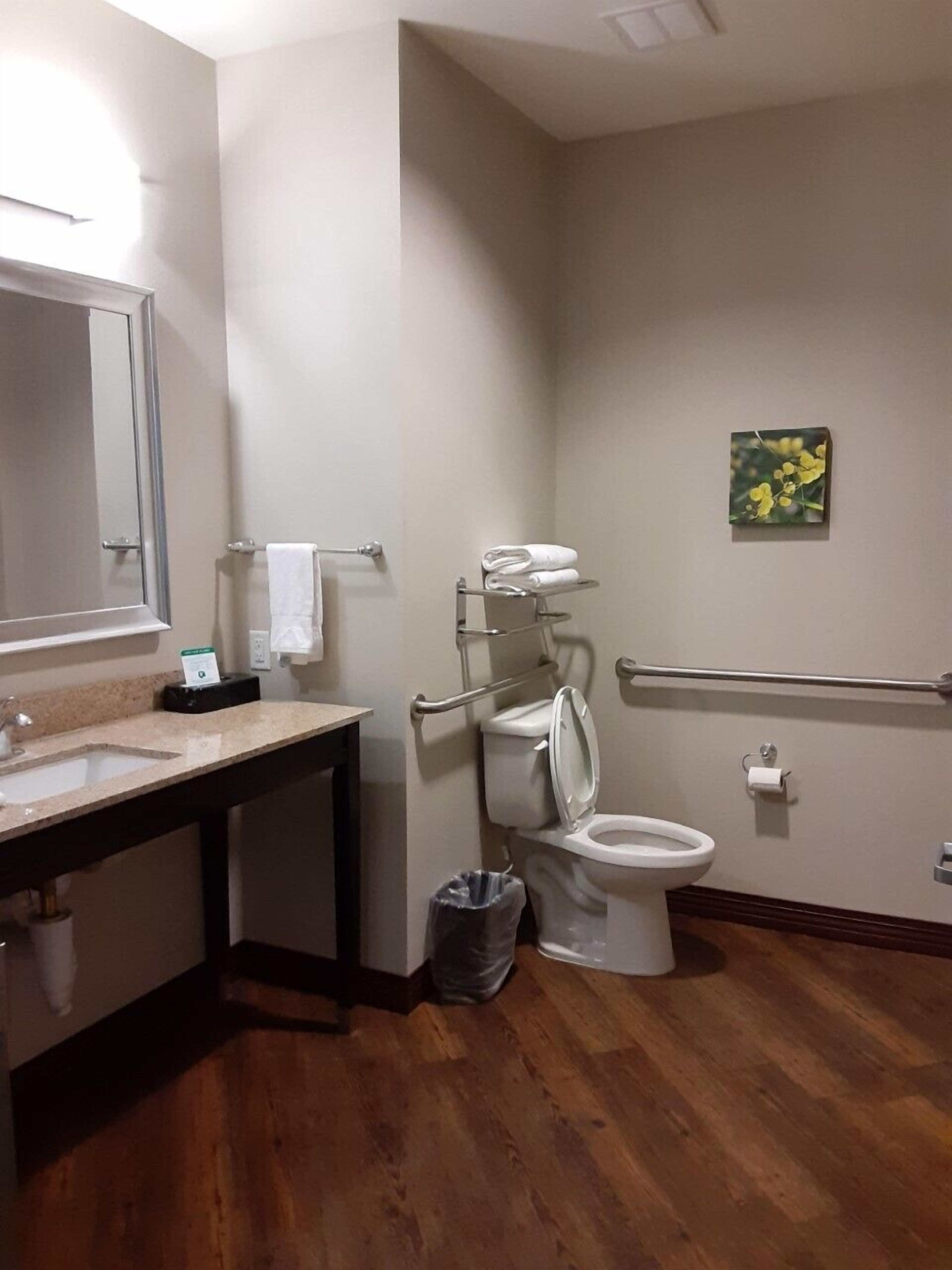 Une salle de bain avec un plancher en bois, un lavabo avec un miroir, des toilettes équipées d’une barre d’appui et une poubelle.