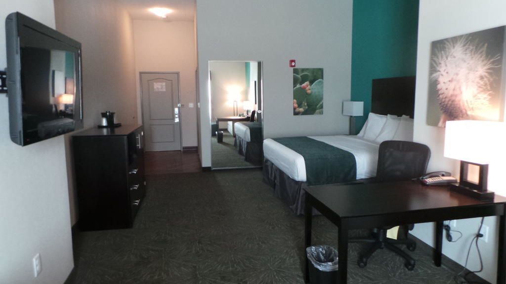 Habitación de hotel con cama, escritorio, silla, televisor y un pequeño cubo de basura.