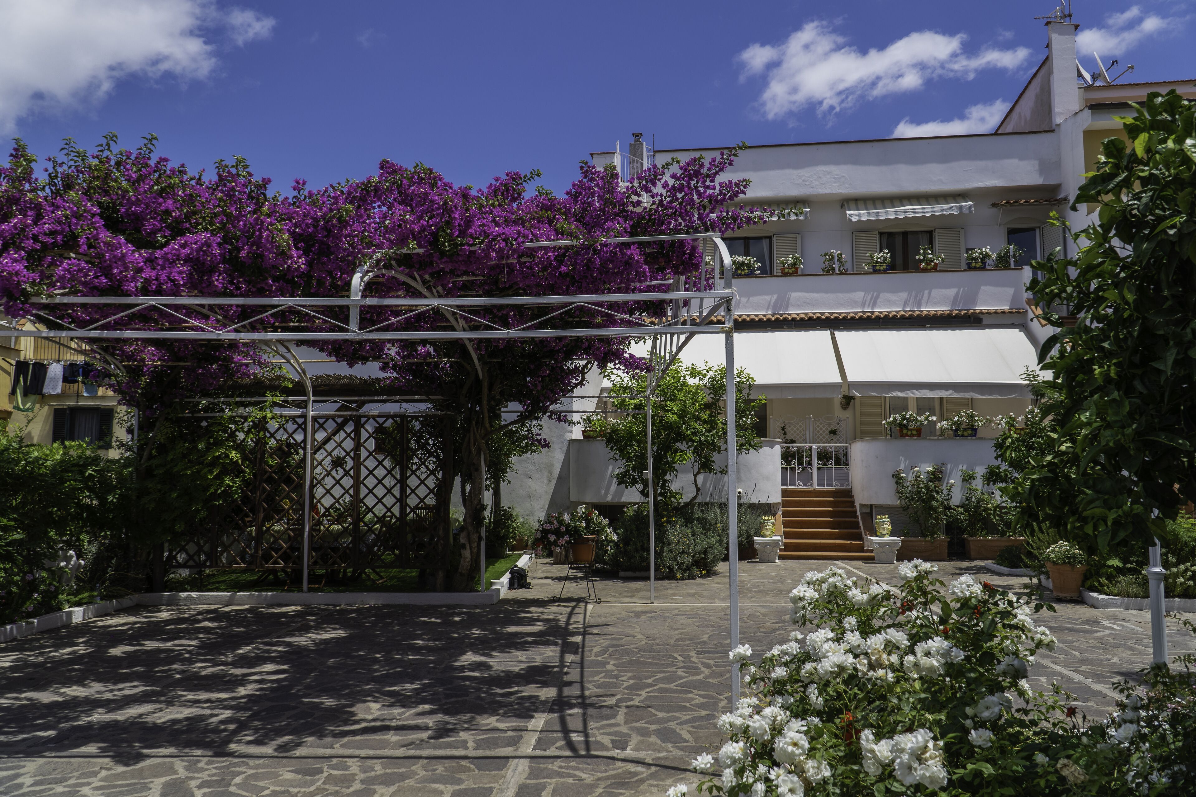 A courtyard with a pergola covered in purple flowers, a stone pathway, and a building with a white facade and balconies with potted plants.