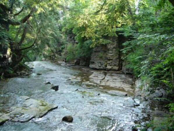 A natural stream surrounded by dense greenery and rocky terrain.
