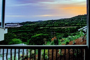 Double Queen Ocean View