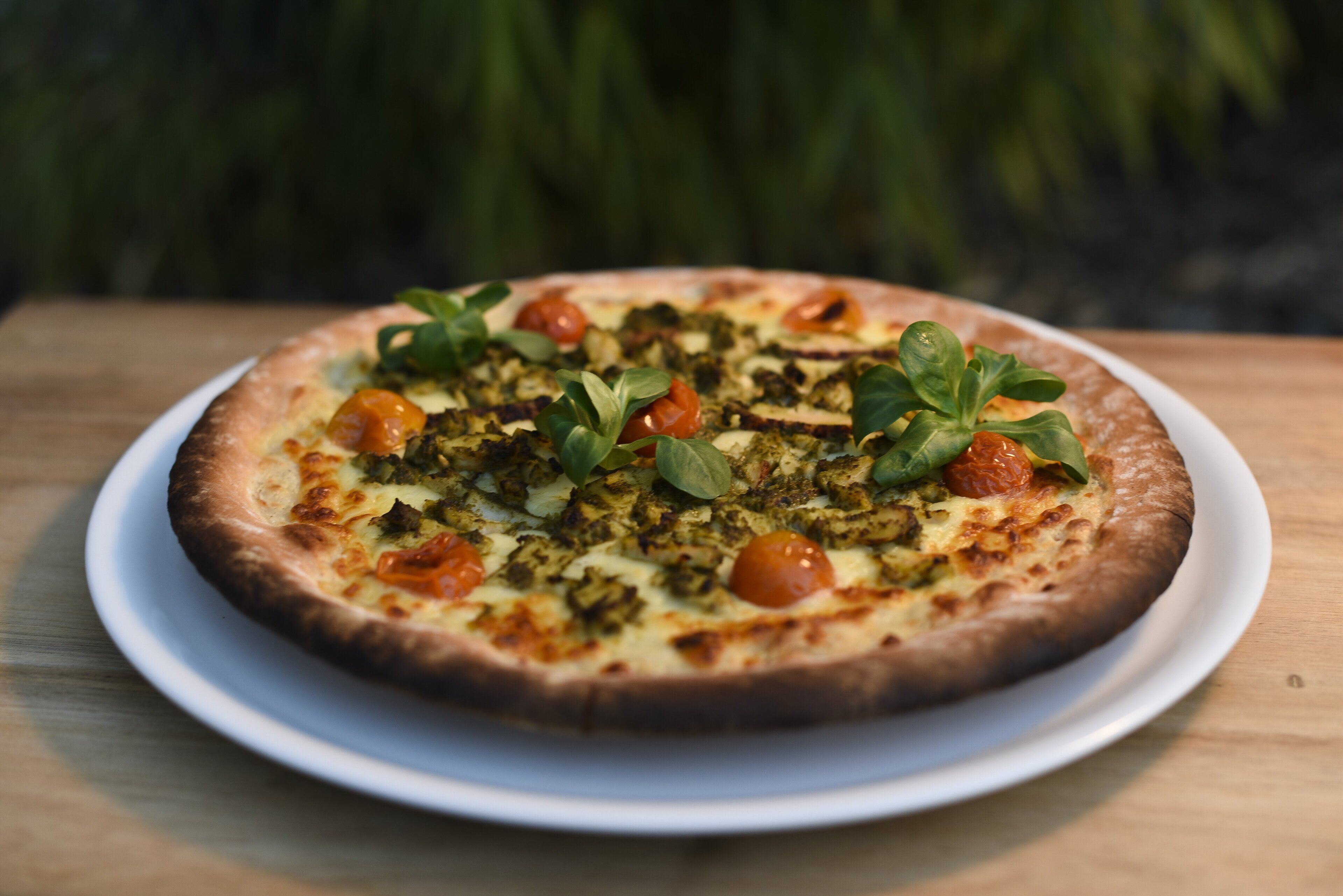 A pizza on a white plate on a wooden table.