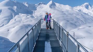 Un escalier métallique menant au sommet d’une montagne enneigée, sous un ciel dégagé.