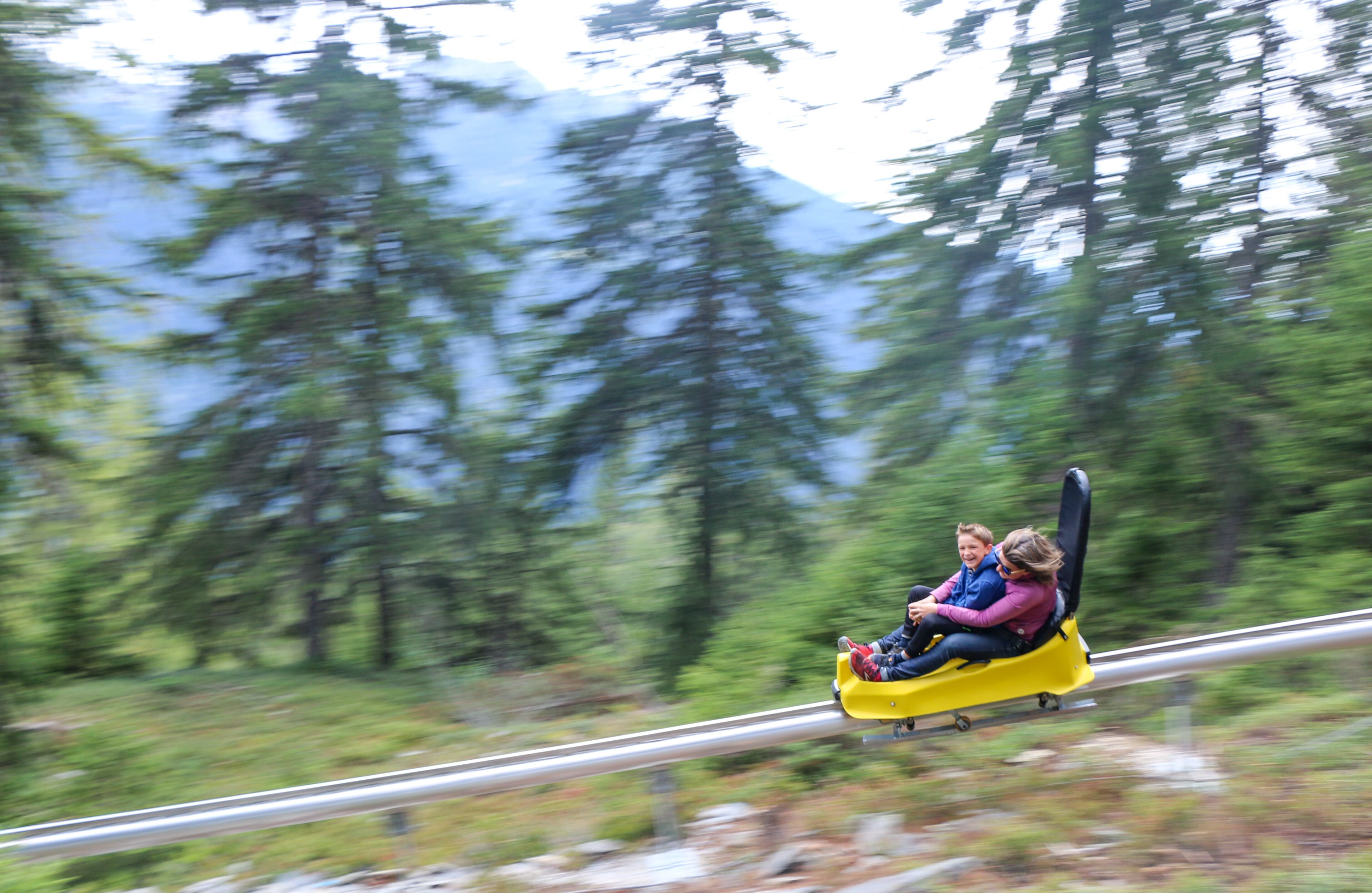 A yellow wooden boat with two passengers on a narrow track surrounded by trees.