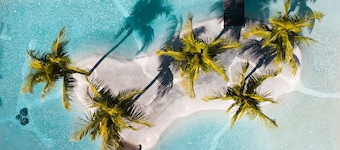 Choisy Les Bains with LOV