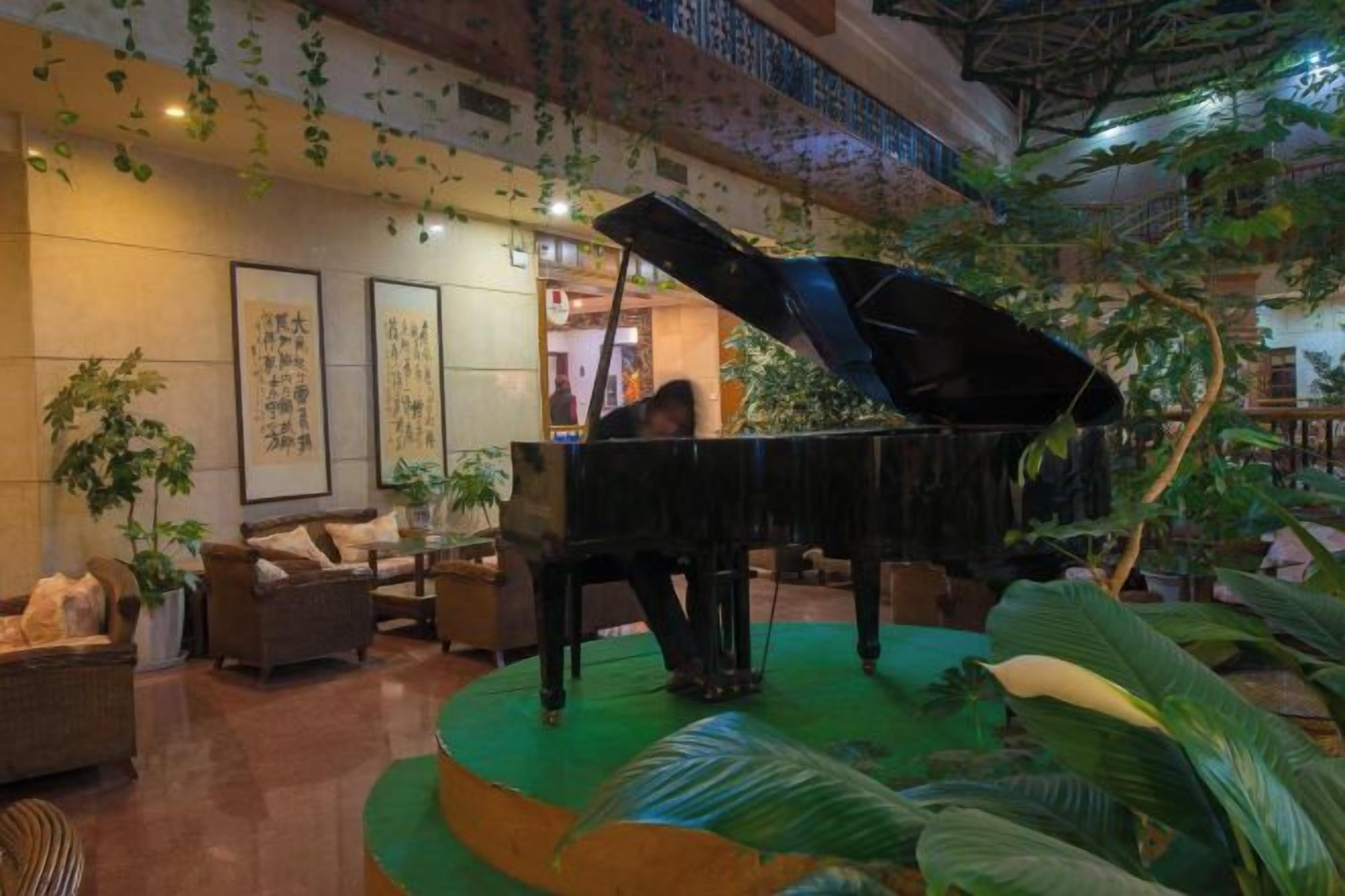Un piano de cola en un vestíbulo con alfombra verde, plantas en macetas y decoración tradicional.