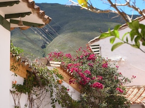 Mountain view - Villa Pepita Real (Villa de Leyva)