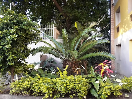 Garden. SUN1 Durban