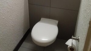 A small, white toilet with a flush handle and a toilet paper holder on the wall. - SUN1 Berea (Johannesburg)