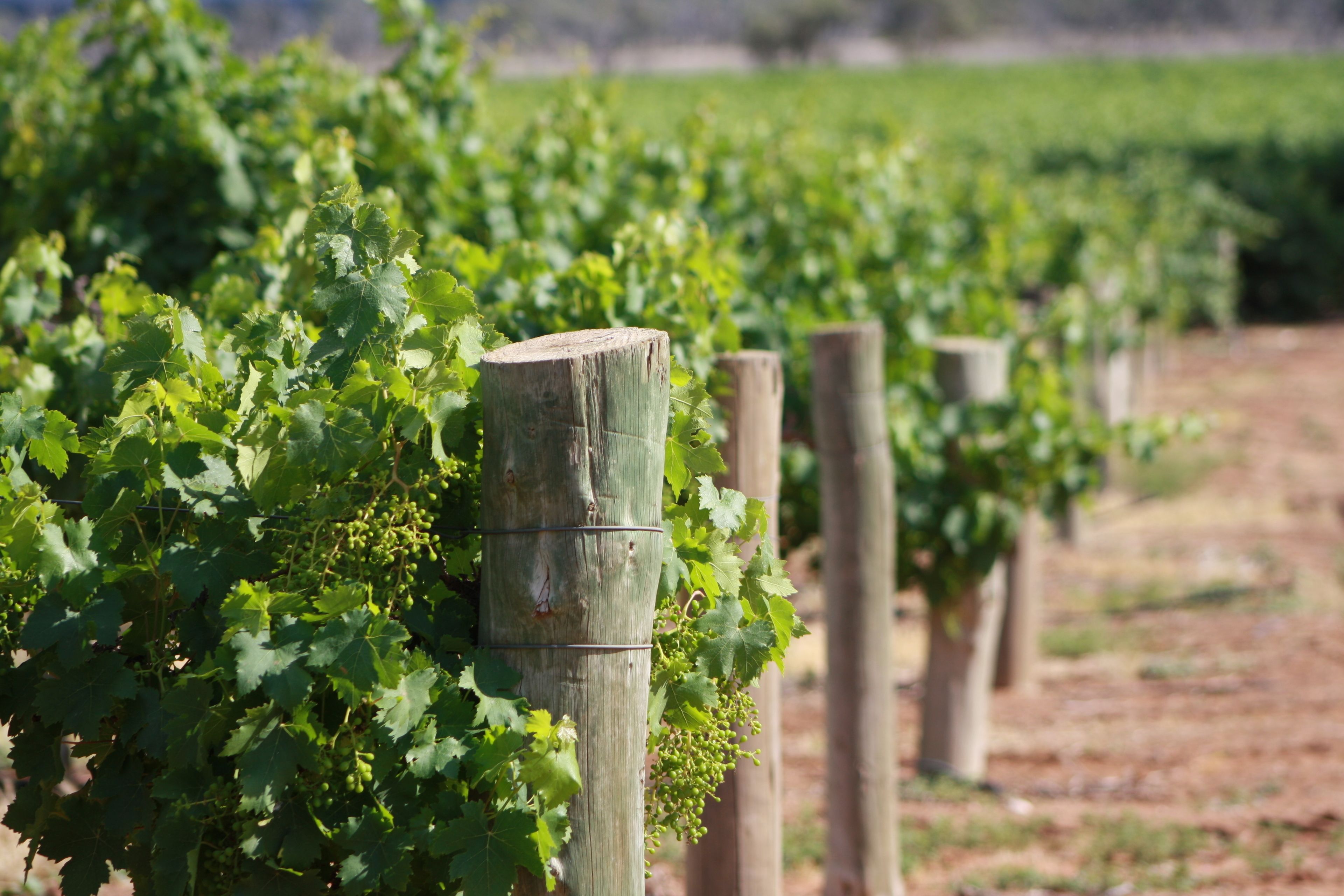 Mundic Waterfront Cottages — image 22