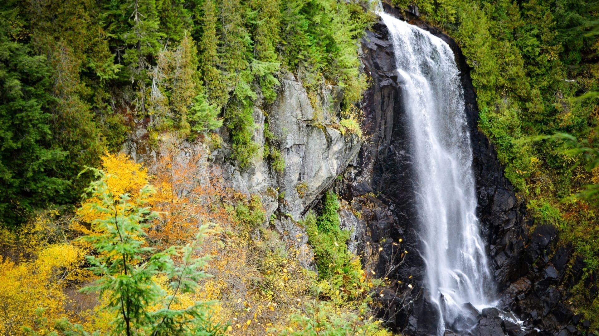 A waterfall cascading down a rocky cliff surrounded by dense forest.
