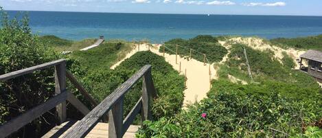 Plage à proximité, chaises longues, serviettes de plage