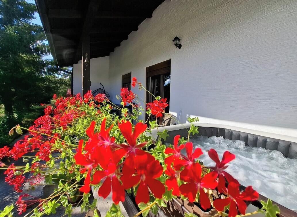 Um edifício branco com varanda coberta, flores vermelhas em vasos e uma pequena janela.