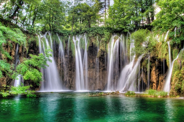 A waterfall cascading into a clear pool surrounded by lush greenery.