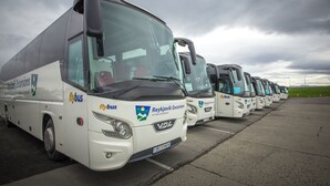Une rangée d’autocars blancs, utilisés pour les circuits touristiques, était stationnée sur un parking.