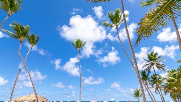 A beach with palm trees, a thatched-roof structure, and beach umbrellas. - Beachfront 2BR Apt · Los Corales, Bávaro · Utilities Included (Punta Cana)
