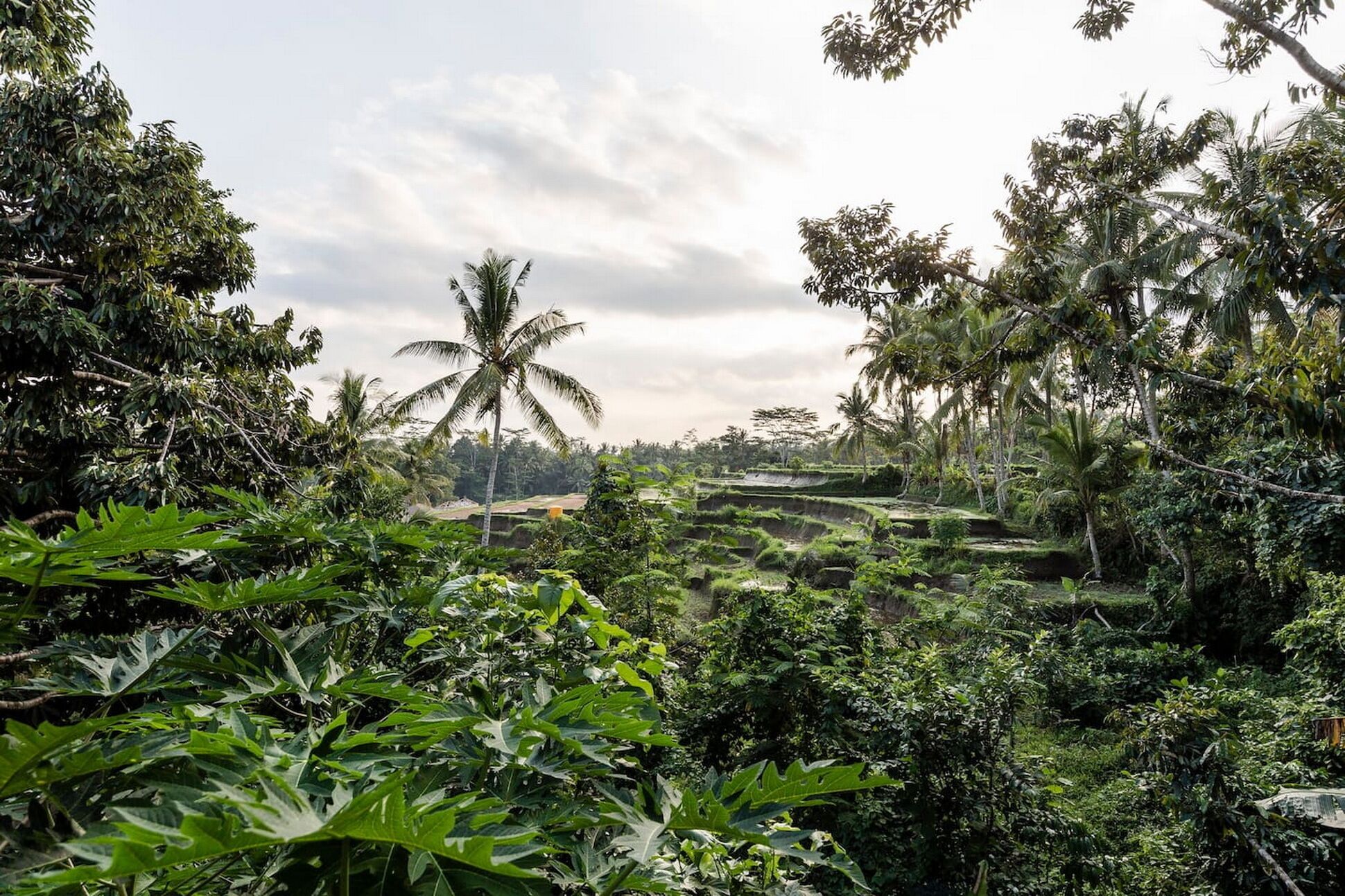 2BR Villa In a Balinese Home Environment