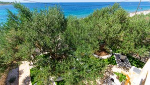 A coastal garden with various plants and a view of the sea. - Villa Pearl of the Adriatic - discover some undiscoverd(10 meters from sea) (drvenik mali)