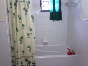 Combined shower/tub, hair dryer, towels, soap