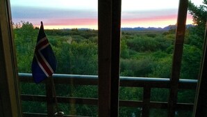 A window with a flag, a vase, and a view of a landscape.