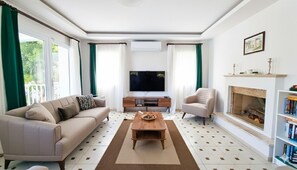 TV connectée, cheminée, lecteur de DVD, livres