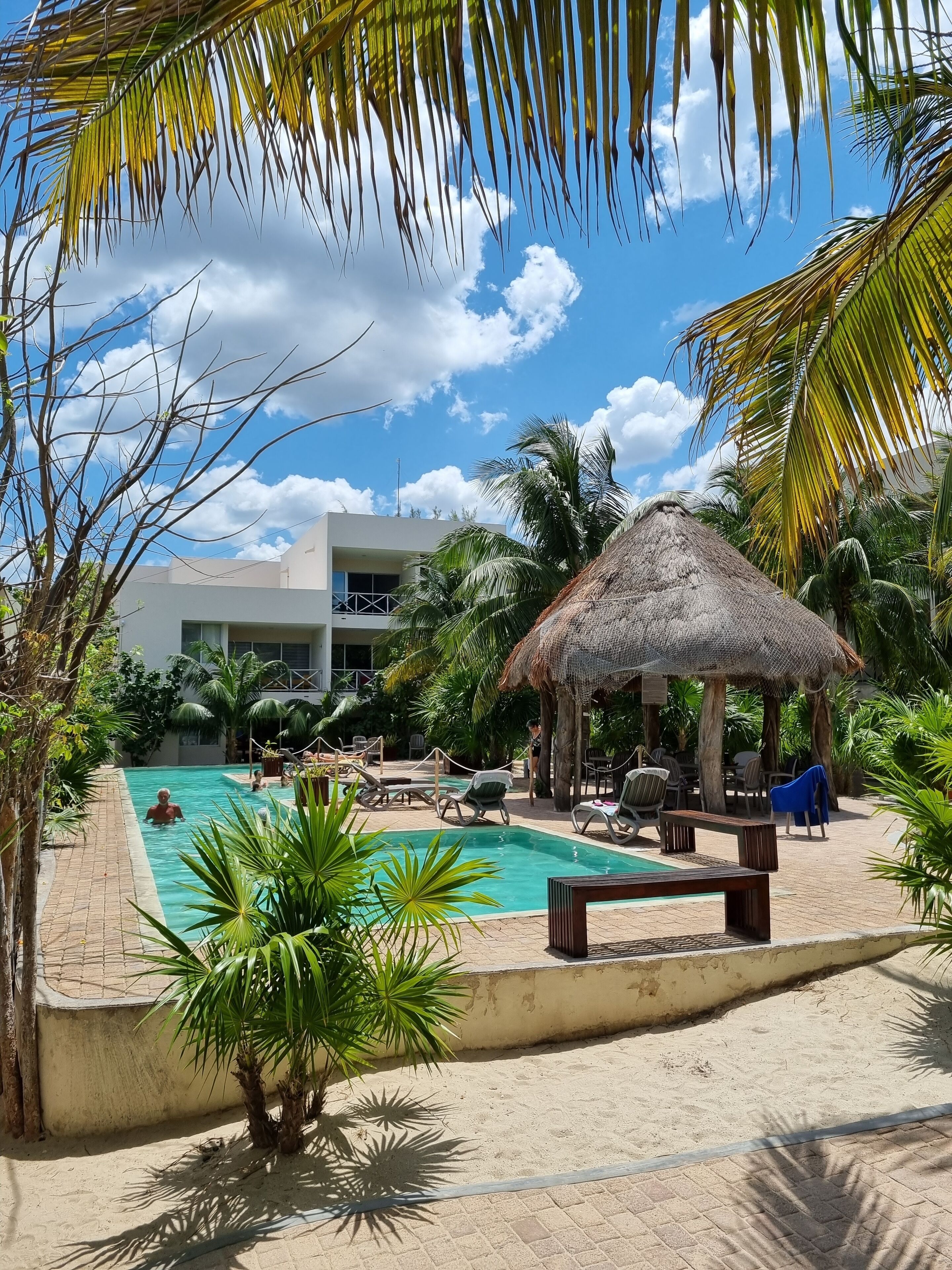 A pool area with lounge chairs, a thatched umbrella, and palm trees.
