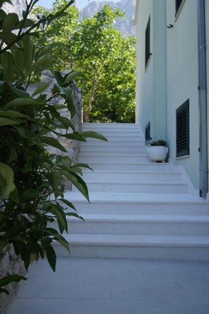 Terrain de l’hébergement 