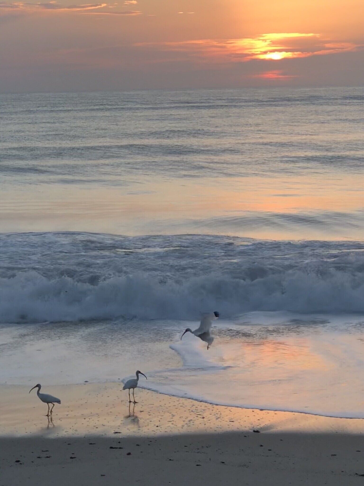 بالقرب من الشاطئ، كراسي للتشمس، مناشف للشاطئ