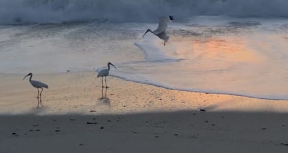 Tropical Breeze 🌞Heat Pool ✅Wifi ✅Fenced ✅Boat/RV Park ✅Kayak Bikes ✅Near Beach