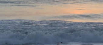 Tropical Breeze 🌞Heat Pool ✅Wifi ✅Fenced ✅Boat/RV Park ✅Kayak Bikes ✅Near Beach