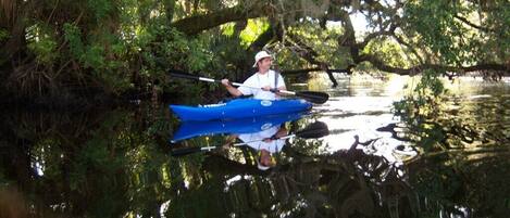 A person in a kayak on a calm body of water surrounded by dense greenery.