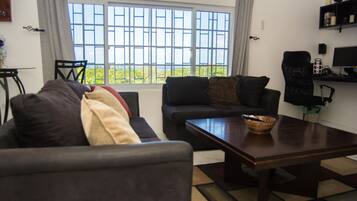 Smart TV, DVD player, books, music library