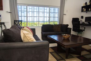 Smart TV, DVD player, books, music library