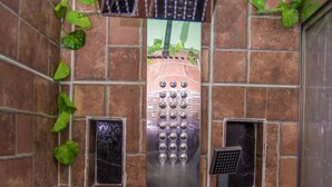 Una ducha con cabezal de ducha manual y cepillo manual, rodeada de paredes con azulejos y plantas verdes.
