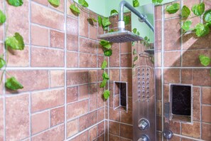 Shower, hair dryer, towels, soap