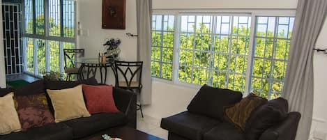 Smart TV, DVD player, books, music library