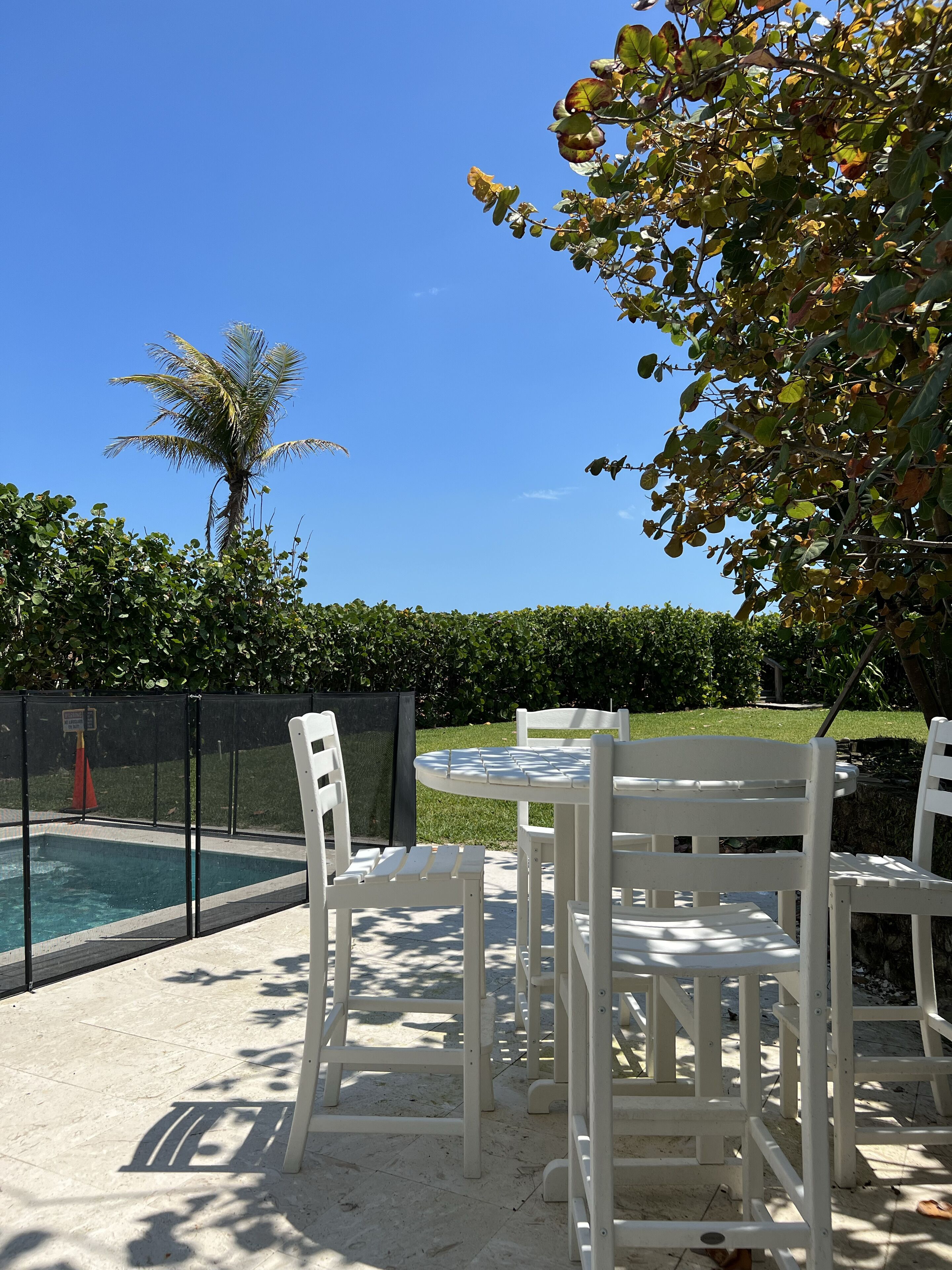 A poolside area with a white table and chairs, a palm tree, and a hedge in the background.