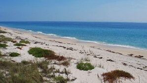 A beach with white sand and sparse vegetation. - Steps to your own private beach (Vero Beach)