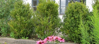 Asunto on oma Park - Perheille ja Couples - Rentouttava & Cozy Place