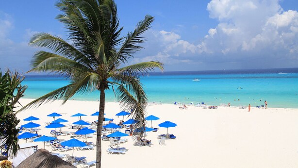 Una playa con arena blanca, sombrillas azules y palmeras.