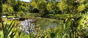 Cave Suite THA (Lomas de Ruvira cave hotel)