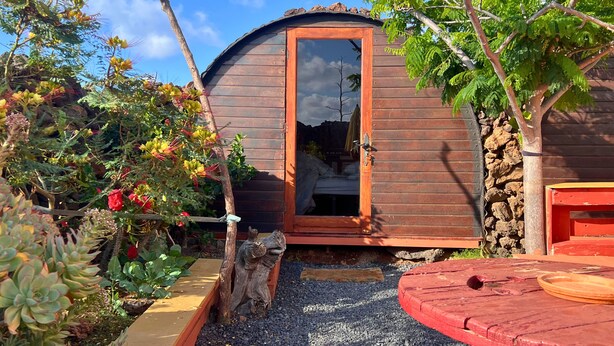 A wooden cabin with a glass door, surrounded by various plants and a gravel path.