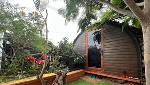 A wooden cabin with a glass door, surrounded by a garden with various plants and flowers.