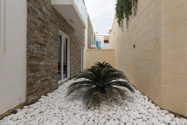 Une ruelle étroite, bordée d’un côté par un mur de pierre et de l’autre par un mur blanc. Un petit palmier est planté au centre de la ruelle.