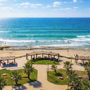 A beach with a gazebo, palm trees, and a clear view of the ocean.