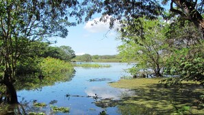 A natural landscape with a calm water body surrounded by dense greenery and trees. - Real family hostel, Hospedaje La Penita, 2 person room  (Altagracia)